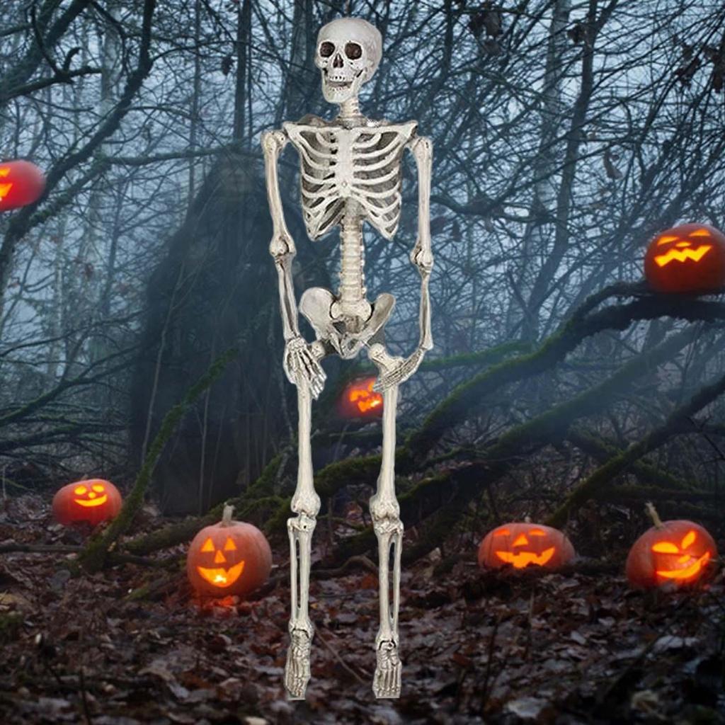 Halloween Skelett Ornament 65 Zoll Ganzkörper Bewegliche Gelenke Skelette Lebensechtes Modell für