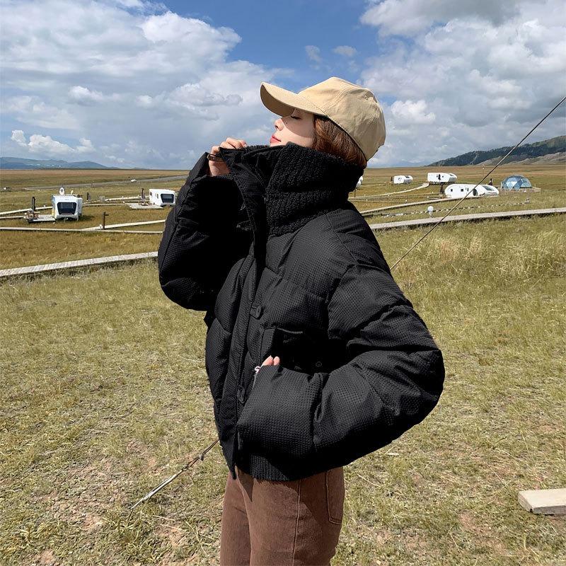 New winter cotton-padded clothes women's short loose design cotton-padded clothes small thickened cotton-padded jacket