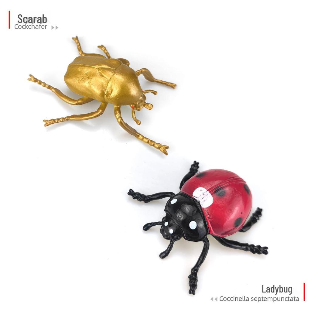 Children's Cognitive Teaching Toys: Insect Models - Butterfly, Ladybug, Rhinoceros Beetle, Bee, Grasshopper