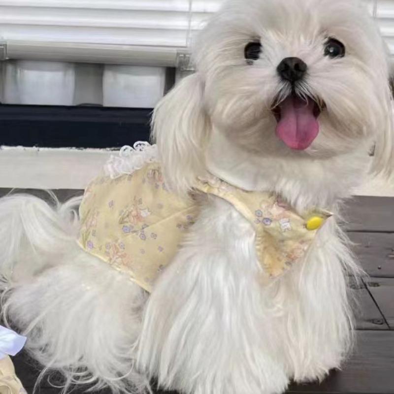 

Pet cat dog princess dress Bigbear Pomeranian Yorkshire Schnauzer small dog cat clothes spring and summer thin dog XL chest 50 back 40 about 10-6.5 kg