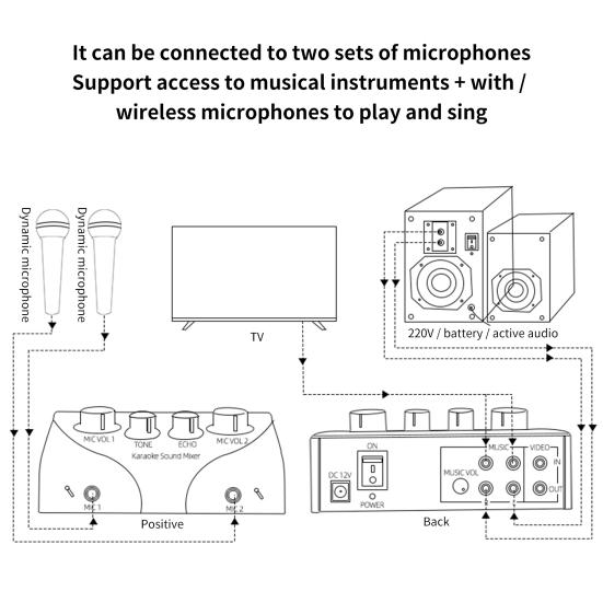 Microphone Amplifier Professional Dual Mic Input Mini Household Computer Phone Karaoke Echo Mixer