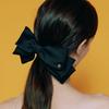 Ribbon Hairpin Black RA24B01L