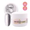 Gel Art Paint UV / LED 5 Ml - Silver