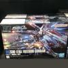 HGCE Freedom Gundam Revive