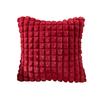 New Year Plushie Pillowcase Comfortable Easy Washing Cushion Cover for Sofa and Bed Decoration