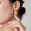 French Designer Striped Stud Earrings: Light Luxury Titanium Steel, Non-fading, Cool Style.
