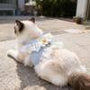Corduroy Cat Princess Dress & Leash Set with Lace Trim