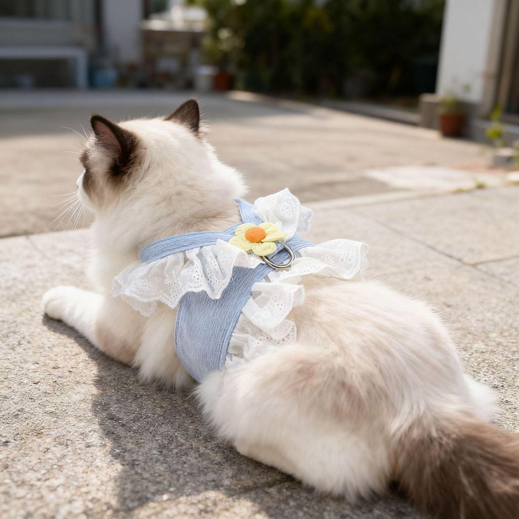 Corduroy Cat Princess Dress & Leash Set with Lace Trim
