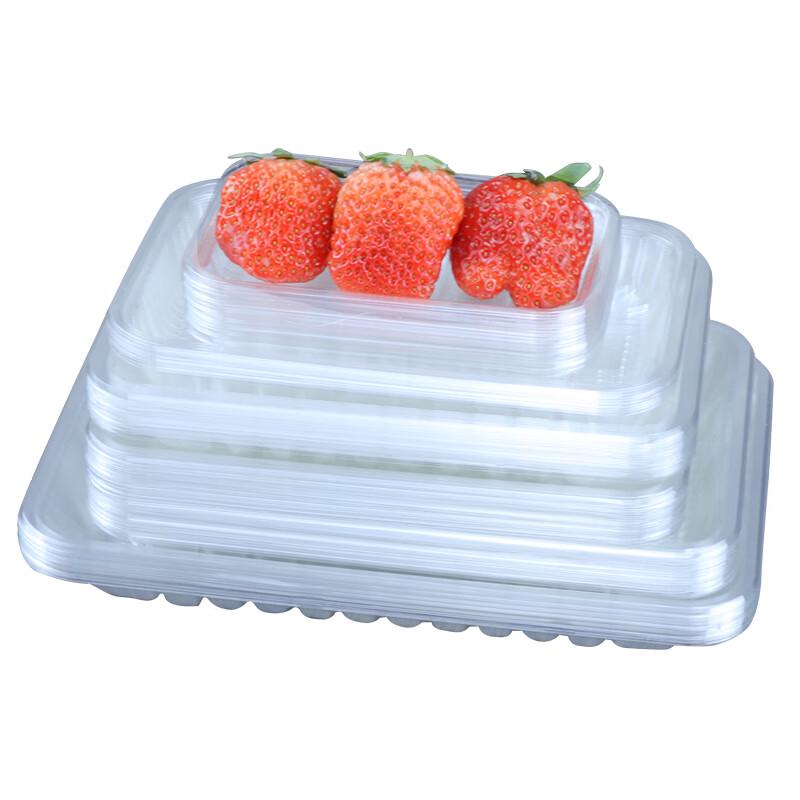 Disposable Clear Plastic Food Packaging Trays