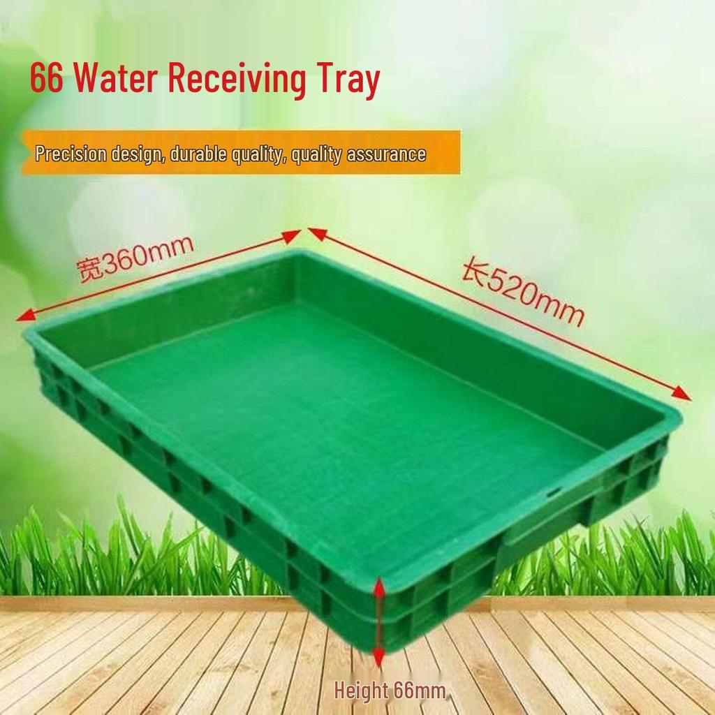 Large Commercial Seedling Tray for Bean Sprouts and Vegetables