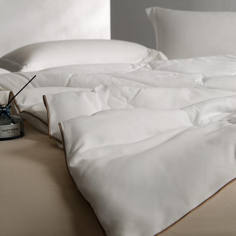 Hongxiushifang Warm Core Four Seasons Quilt