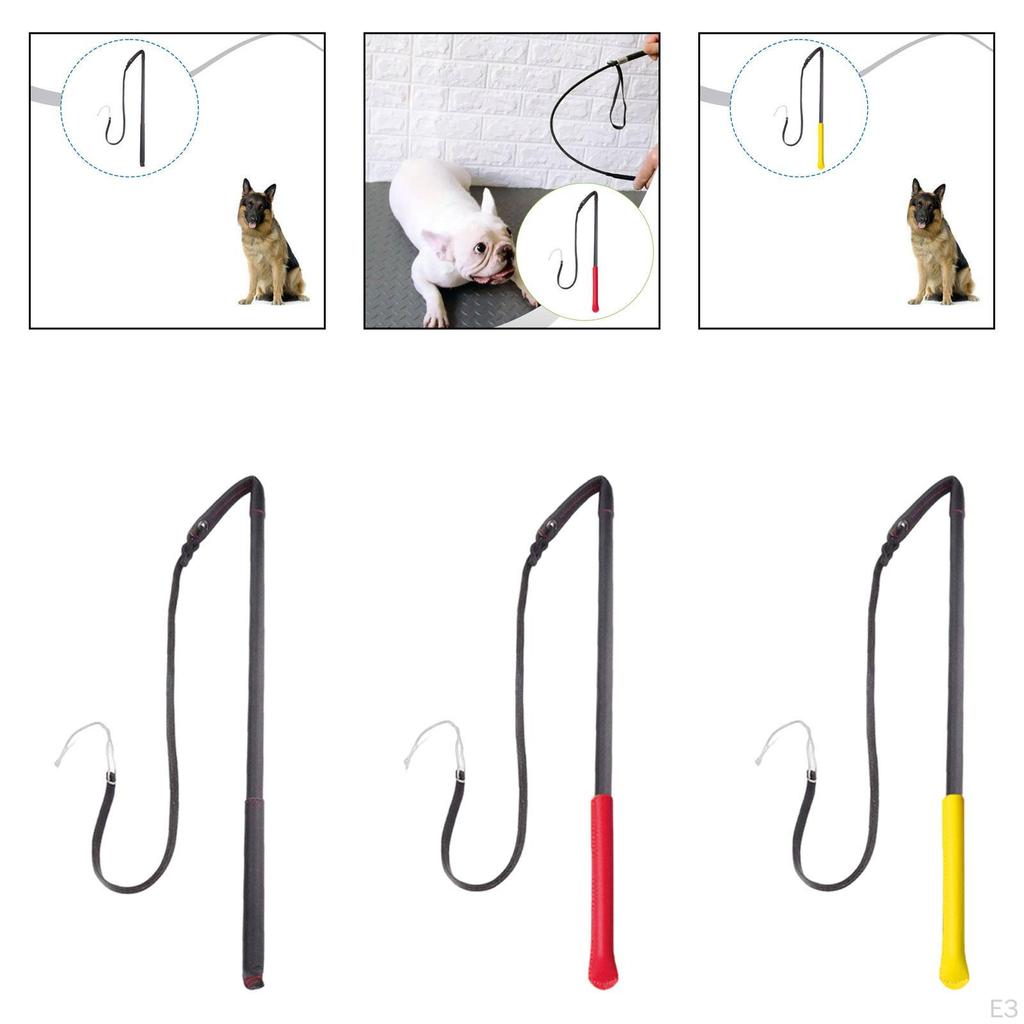 Dog Training: Obedience Training, Exercise, Discipline, Behavior Training with The - Strum