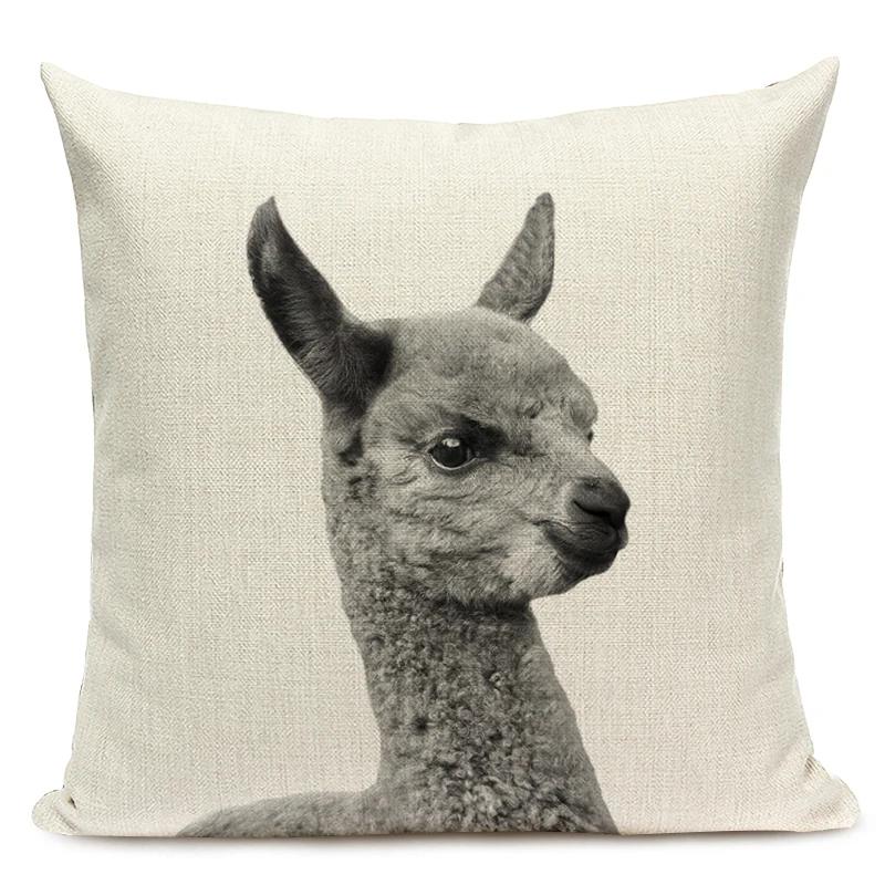 

Черно-белая наволочка с милыми животными - наволочка с изображением портрета животного 45x45 см для домашнего декора дивана 450mm*450mm
