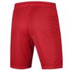 Nike Training Breathable Sports Shorts Men Shorts Red AO4150-657