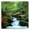 Canvas Print Forest Mountains Stream Nature