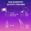 Crystal planting experiment DIYscientific experiment fun parent-child communication chemical experiment crystallization principl