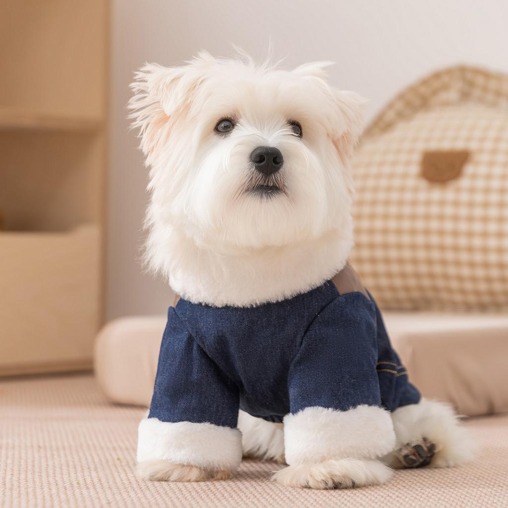 Puppy Cowboy Cotton Jacket Punk-Style Dog Clothes Winter Warmth for Yorkshire Two-Legged Garment Thickened Teddy Coat