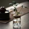 Thickened Hydroponic Flower Holder Glass Flower Pot Plants Holder Flower Vase  Desktop