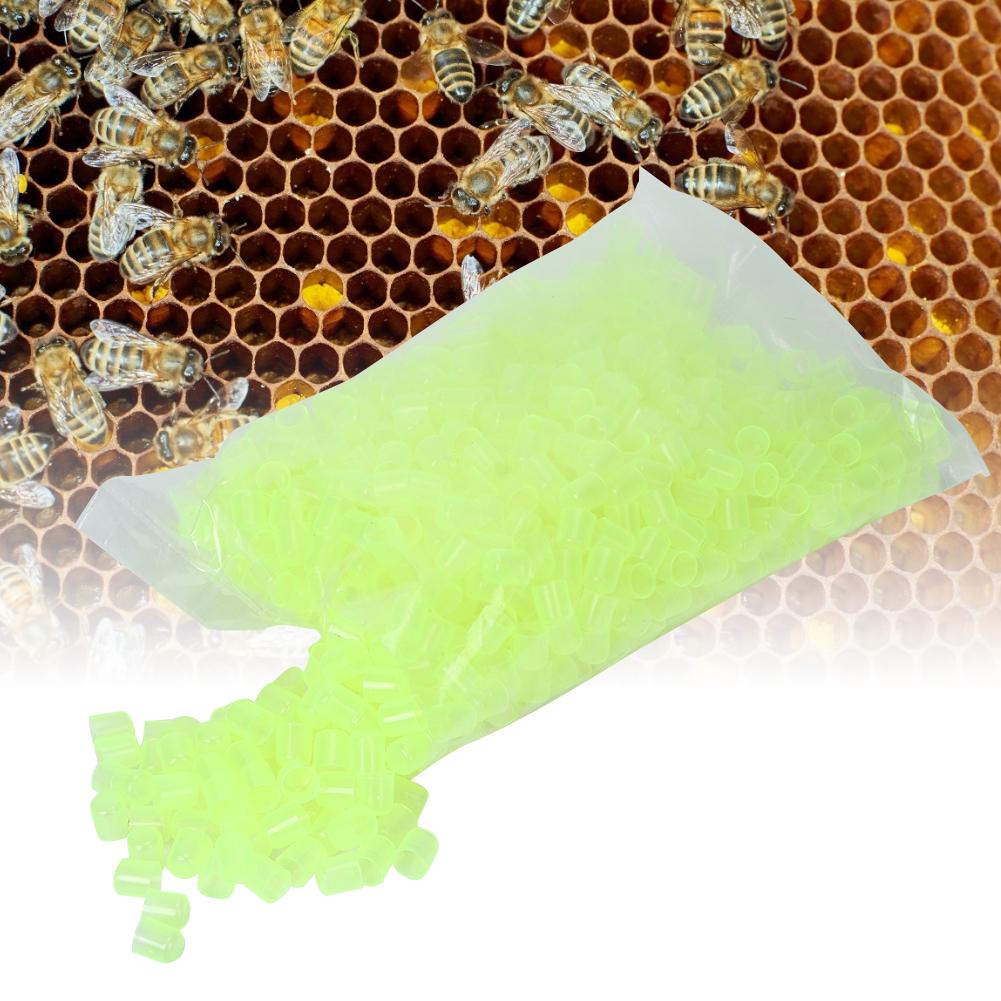 1000pcs Queen Cell Cups Queen Rearing System Honey Bee Beekeeping Supplies