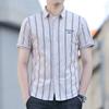Summer New Men's Short-sleeved Shirt Korean Version of the Trend of Simple Simple Slim Striped Casual Handsome Shirt Men's Clothing