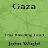 Gaza by John Wight Hardback Book 9781738456000