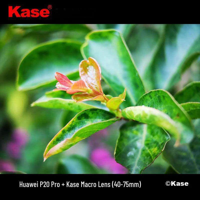 Kase Mobile Makro-Objektiv: Hochauflösende externe Linse für Apple und Huawei