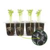 Seed Starter Trays Kit Indoor Greenhouse Mini Propagator Adjustable Humidity