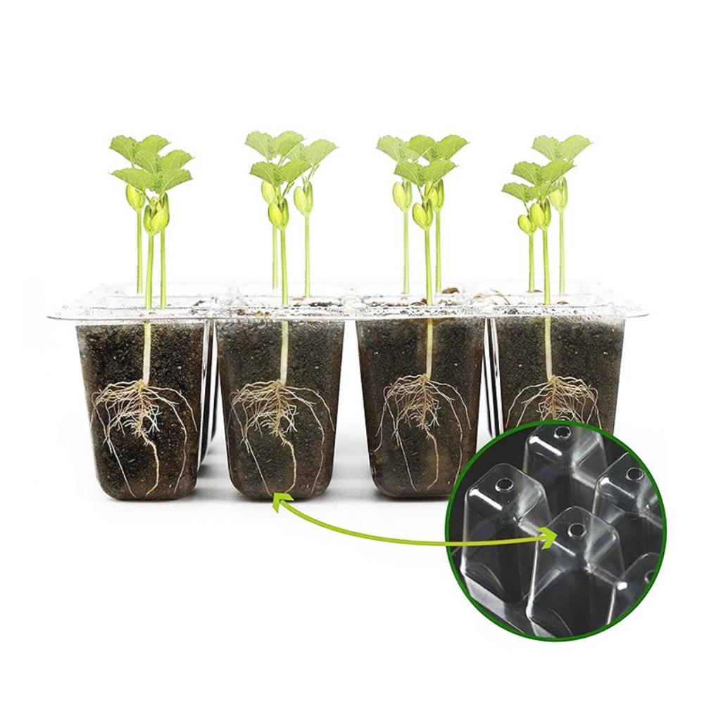 Seed Starter Trays Kit Indoor Greenhouse Mini Propagator Adjustable Humidity