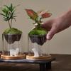 Glass Terrarium For Mountain Views Moss Planter Hydroponic Plant Container Multifunctional Cup Home Decoration Great Gift