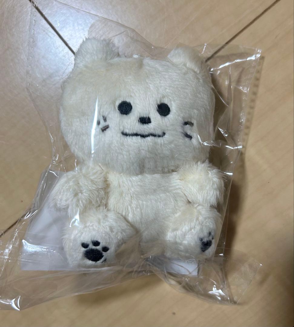 [USED] Motchabin plush toy, Master, ASTRO Moonbin, Korea