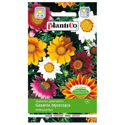Bahçe için Gazania parlak çiçek tohumları karışımı 0.3g