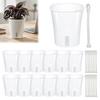 Mini Planters for Alocasia Corms Self Watering Plant Pots Indoor Plants Small with Water Level Indicator Clear Flower Windowsill Inner Cup Drainage