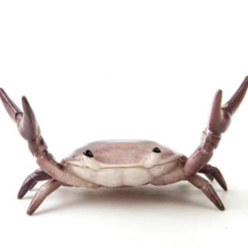 

4 шт. Новий Креативний Милий Тримач для ручок у вигляді краба Штангист Краби Тримач для ручок Стійка для зберігання Подарунок Канцелярські товари Може бути використаний для сімейних виставок