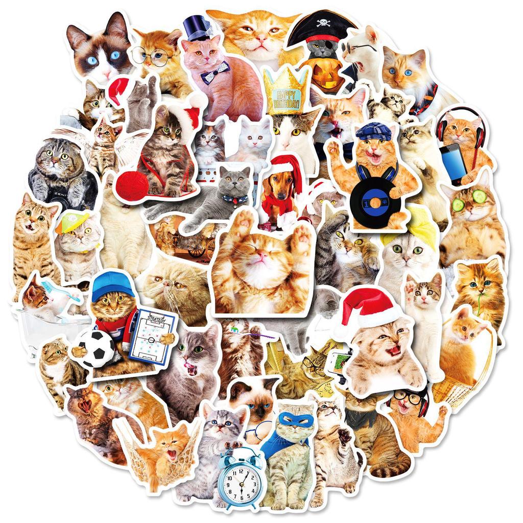 200 Realistic Mori Style Cat Stickers - Self-Adhesive, Waterproof PVC for Notebooks