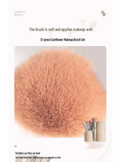 Beginner Makeup Brush Set - Includes Eyeshadow, Loose Powder, Blush, Highlighter, Concealer Brushes with Soft Bristles.