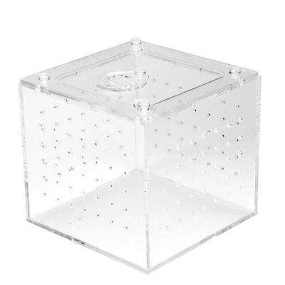 1 stuks Reptiel Terrarium Voederbak Slangen Spin Hagedis Kweek Acryl Doos Koffer Insecten Huis