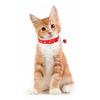 Süßes Herzmuster Haustierglöckchenhalsband Verstellbar Für Welpenhund Buntes Katze Schnallenhalsband Haustierzubehör Welpenhunde Katzen Zubehör