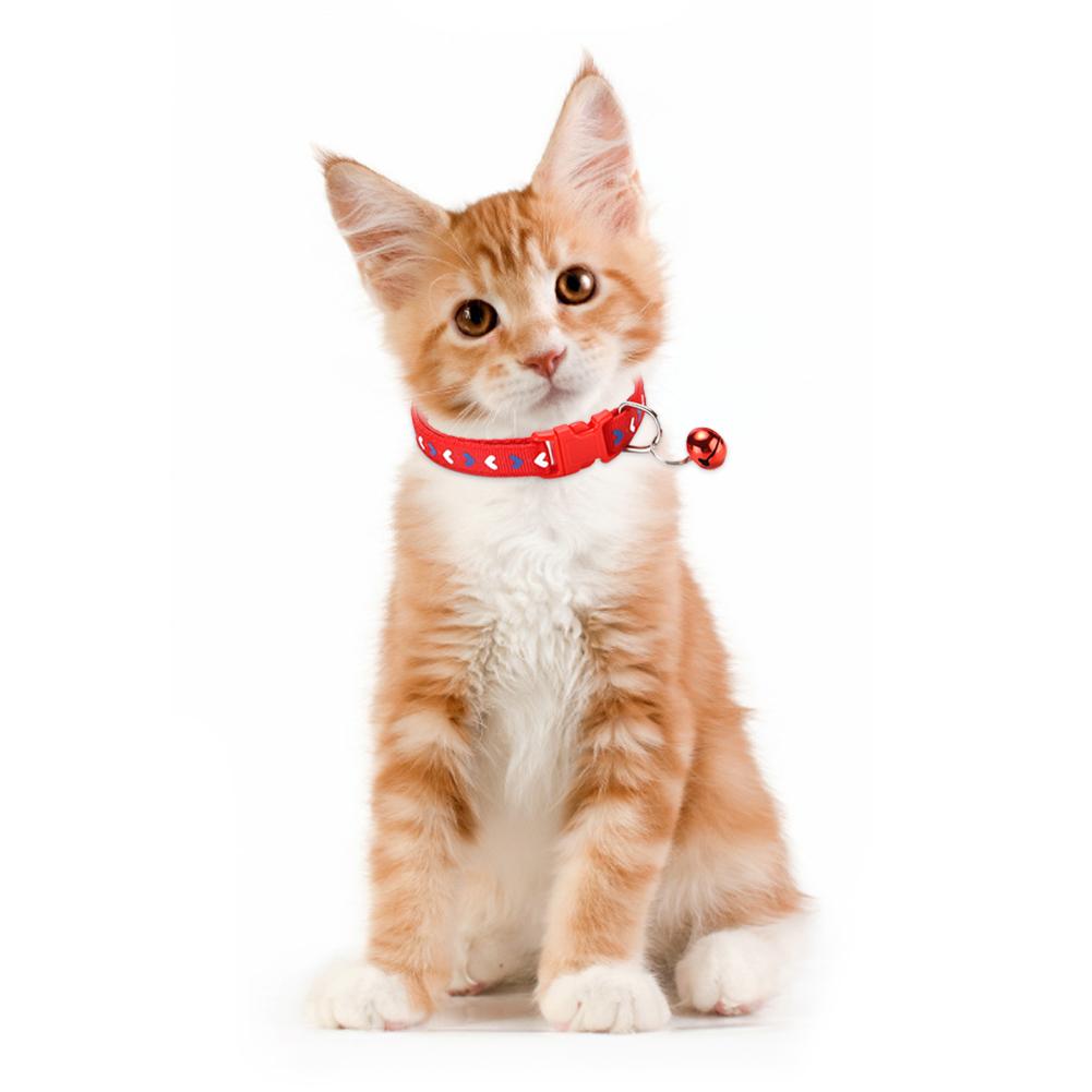 Süßes Herzmuster Haustierglöckchenhalsband Verstellbar Für Welpenhund Buntes Katze Schnallenhalsband Haustierzubehör Welpenhunde Katzen Zubehör