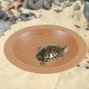 Bath Pool for Reptiles And Water Bowl Turtles