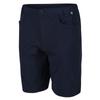 Regatta Mens Delgado Shorts