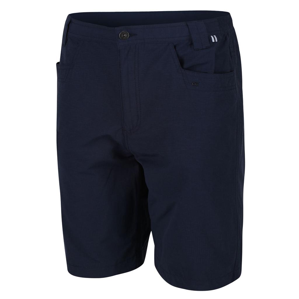 Regatta Mens Delgado Shorts