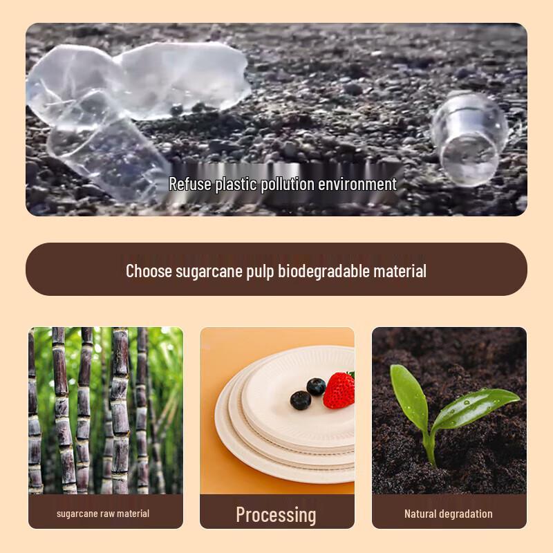 NHZHIW 8-inch Biodegradable Disposable Plates (30-pack)