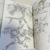 [USED] Ebisu no Hon 2: Animator Shuhei Handa's Art Book and Illustrations