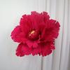 NEW Silk Artificial Peony 30/50cm Artificial Flowers Large Flower Background Fake Flowers Giant Flower Head Party Supply