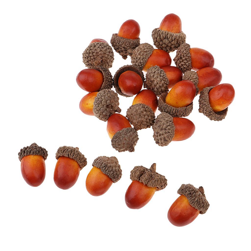 100Pcs Natural Acorns Real Acorns Caps Home DIY Christmas Natural Acorn