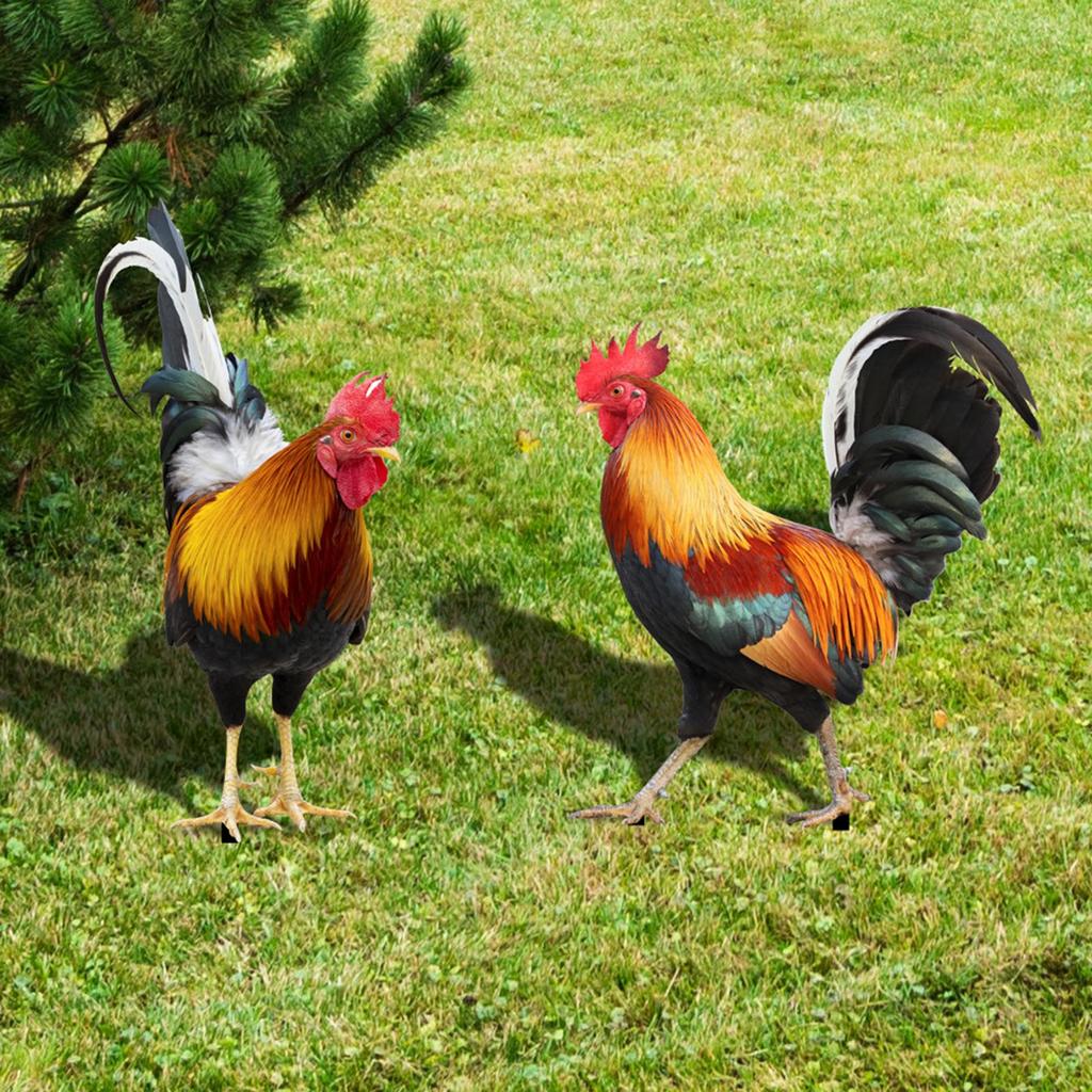 Rooster Garden Decor - Whimsical Outdoor Statue