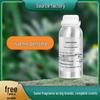 Real Me Essence: Niche Fragrance Sample for DIY Undiluted Body Perfume