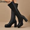Platform Thick Heel Women Knee High Boots Fashion Slip On Shoes Autumn Winter Ladies Elegant Stretch Slim Long Booties