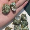 10Pcs Natural Green Turbo Shell Charms 22×27~30×35mm Sea Snail Conch Pendants With Gold Metal Bail For DIY Beach Necklace Earring Jewelry Making