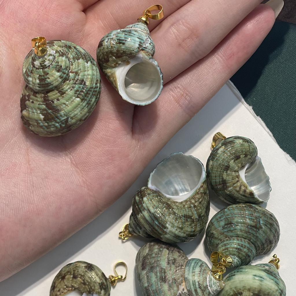 10Pcs Natural Green Turbo Shell Charms 22×27~30×35mm Sea Snail Conch Pendants With Gold Metal Bail For DIY Beach Necklace Earring Jewelry Making